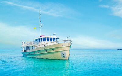 Custom Trawler WALRUS for sale